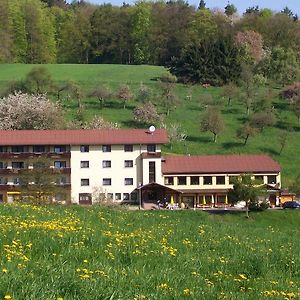 Dornroeschen Hotell Höchst im Odenwald Exterior photo