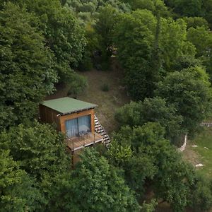 Tree House San Giorgio Hotell Solagna Exterior photo