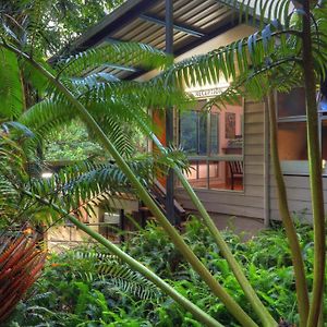 Chambers Wildlife Rainforest Lodges Lake Eacham Exterior photo