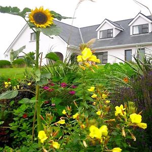 Cregg House Bed & Breakfast Clifden Exterior photo