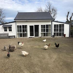 Parker Farm Leilighet Somerville Exterior photo