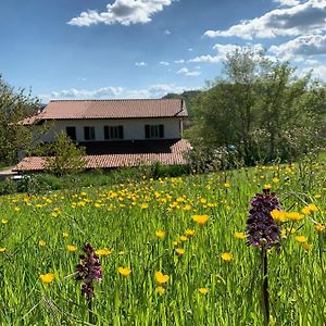 Butterflies Rest Bed & Breakfast Gubbio Exterior photo