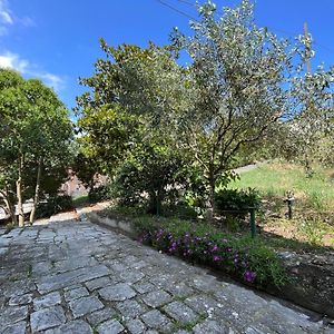 B&B Il Borgo Matrice Exterior photo