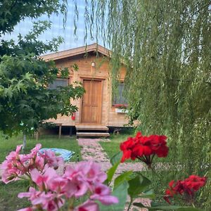 Inlice Uenzile Bungalow Inlice Kamp Bed & Breakfast Fethiye Exterior photo