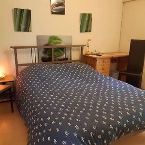 Petit Studio - Chambre Independante Au Calme Bed & Breakfast Landerneau Exterior photo