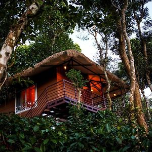 Coffee Cradle Wayanad Luxuorios Private Tree House - Inside 2 Acre Coffee Plantation Hotell Mananthavady Exterior photo