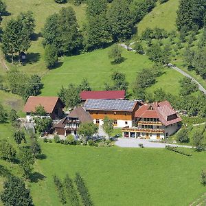 Schlossberghof Leilighet Haslach im Kinzigtal Exterior photo