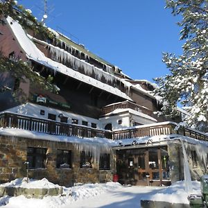 Penzion Sykovec Hotell Tři Studně Exterior photo