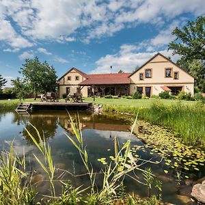 Penzion U Lisky Hotell Jarosov nad Nezarkou Exterior photo