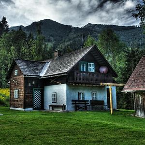 Stegerhuette Villa Hinterstoder Exterior photo