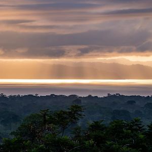 Corcovado Glamping & Villas Puerto Jiménez Exterior photo