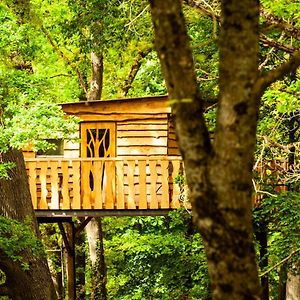 Cabane Perchee Chez Yahmz Bransles Exterior photo