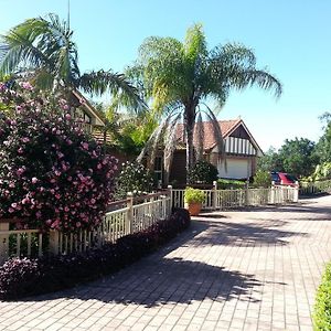 Tranquil Garden Hideaway Leilighet Ormeau Exterior photo