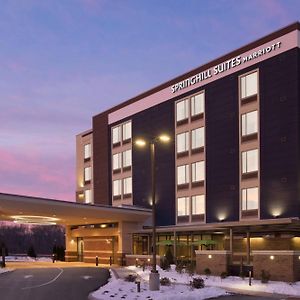 Springhill Suites By Marriott Allentown Bethlehem/Center Valley Exterior photo