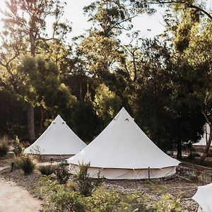 Bay Of Fires Bush Retreat Bed & Breakfast Binalong Bay Exterior photo