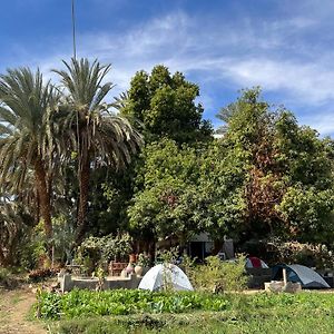 Salatoos Mango Camp Hotell Aswan Exterior photo