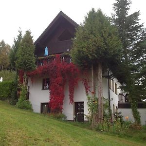 Waldblick Leilighet Tannenberg Exterior photo