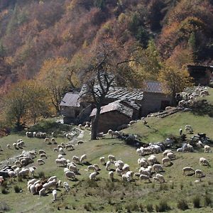 Alloggio In Montagna Leilighet Villaretto Exterior photo