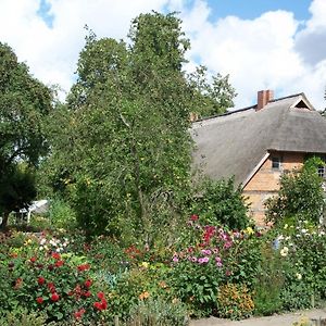 Ferienwohnung Irisgarten Am Pfarrgarten Starkow Velgast Exterior photo