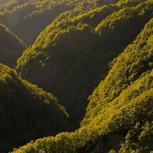 Wild Valley Ticino Vista In Valle Onsernone Leilighet Auressio Exterior photo