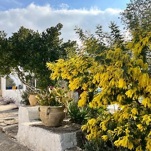 Syconium Trullo And Lamia Gea Charme And History Hotell Ostuni Exterior photo