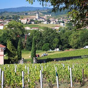 Gite De La Vieille Vigne Villa Fleurie Exterior photo