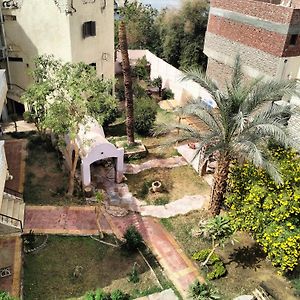 Roof Garden House Hotell Aswan Exterior photo