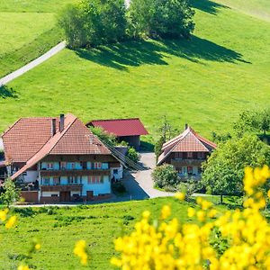 Prinzbachhof Leilighet Mühlenbach Exterior photo