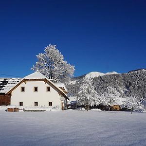 Ferien Am Land - Waldbauer Leilighet Rossleithen Exterior photo