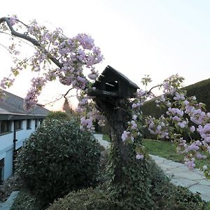 Schoene Einliegerwhg Leilighet Neckarbischofsheim Exterior photo