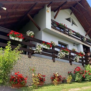 Casa Maria Hotell Piatra Fântânele Exterior photo