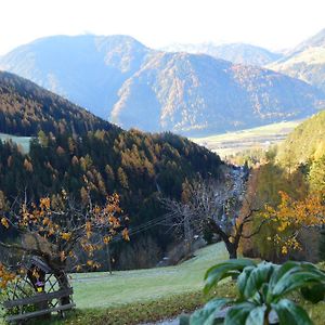 Martlerhof Urlaub Auf Dem Bauernhof Leilighet Campo di Trens Exterior photo