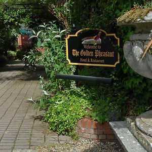 Golden Pheasant Country Hotel Llangollen Exterior photo