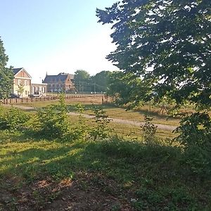 Superbe Studio Cosy Spacieux Au Rez De Chaussee Leilighet Denain Exterior photo