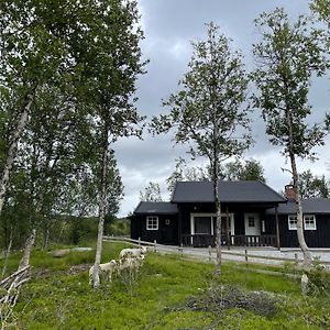 Sigurdhytta Villa Ål Exterior photo