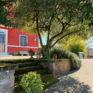 La Terrazza Su Roma Bed & Breakfast Zagarolo Exterior photo