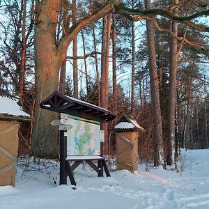 Lesniczowka Wigierskiego Parku Narodowego W Mackowej Rudzie Krasnopol Exterior photo