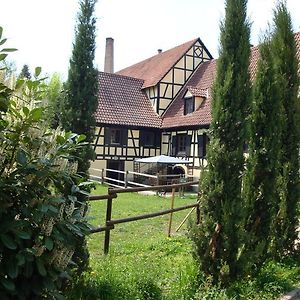 Domaine Du Moulin Im Elsass Hotell Bischwiller Room photo