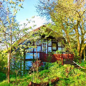 Natururlaub Frankenau Leilighet Exterior photo