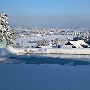 Deluxe Doppelzimmer Mit Terrasse Und Aussicht Leilighet Dänikon Exterior photo