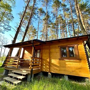 Osrodek Wypoczynkowy Jeziornik Hotell Borzechowo Exterior photo