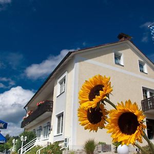 Landgasthof Am Sonnenhang Hotell Vohenstrauss Exterior photo