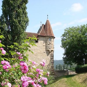 Weingut Gaestehaus Weigand Hotell Iphofen Exterior photo