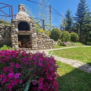 Chalet Mila Villa Mavrovo Exterior photo