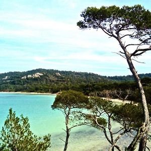 Ile De Porquerolles : T3 Climatise Vue Mer Leilighet Exterior photo