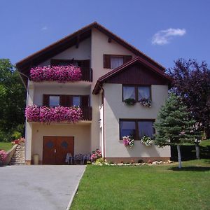 Guesthouse Hodak Selište Drežničko Exterior photo