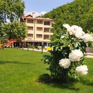 Family Hotel Delta Ognjanovo Exterior photo