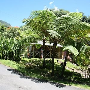 Natty Tropical Valley Hotell Roseau Exterior photo