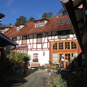 Gaestehaus Pfefferle Hotel Garni Und Ferienwohnungen Sigmaringen Exterior photo