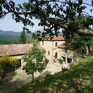 Agriturismo I Monti Di Salecchio Villa Palazzuolo Sul Senio Exterior photo